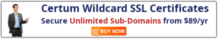 SSLPOINT Wildcard SSL Ad English